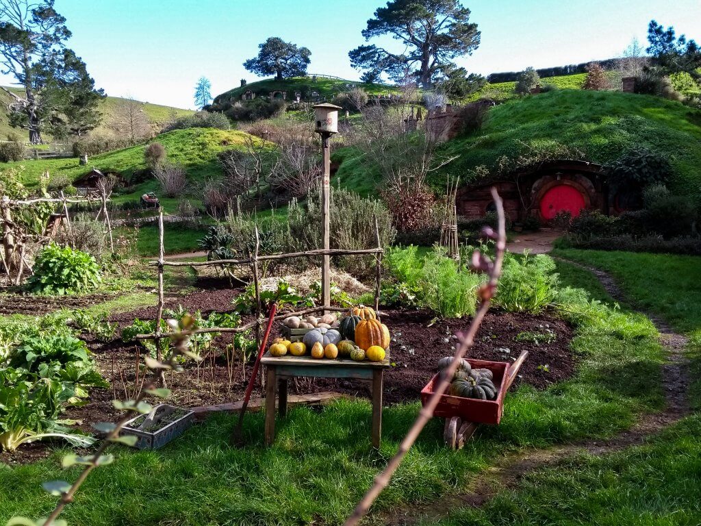 vegetable patch by a hobbit hole