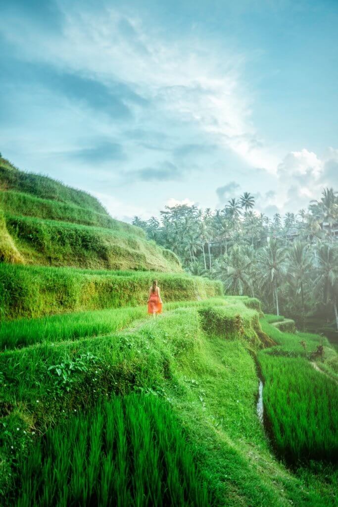 Travelling Alone While in a Relationship: Can You Do It? 7 Woman walking through rice fields for travelling alone while ina relationship
