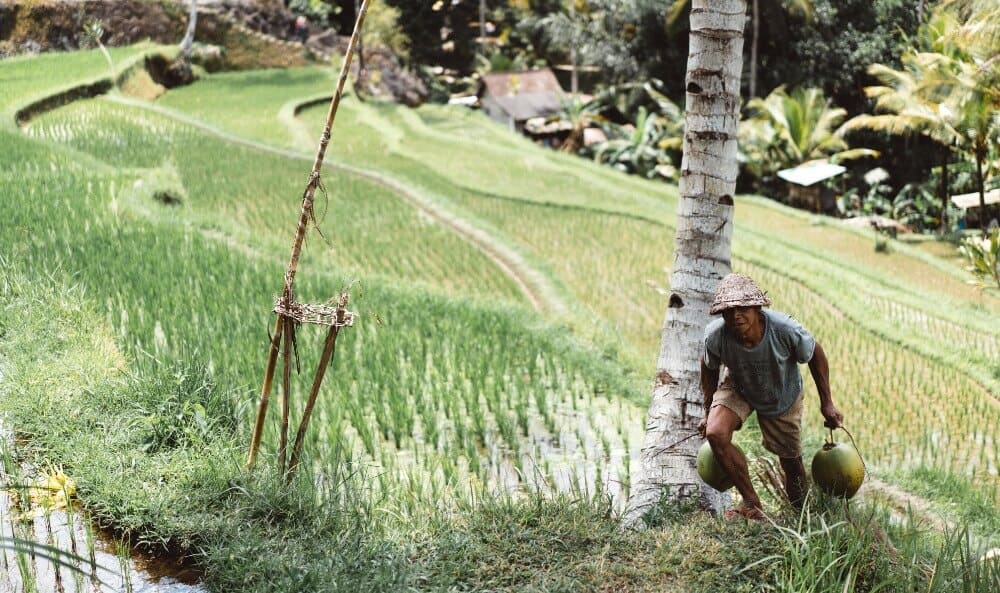 Why Voluntourism Does More Harm Than Good 6 Do a WWOOF instead of voluntourism
