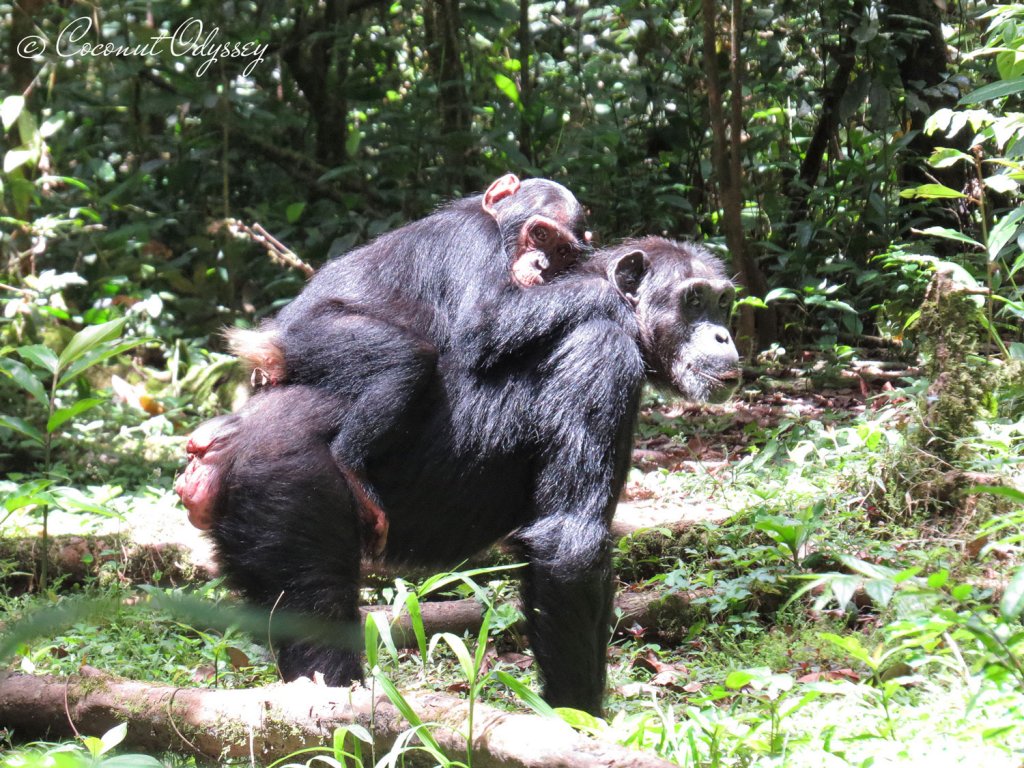 Two Responsible Travellers Share Their Top Sustainable Travel Tips 7 sustainable travel tips