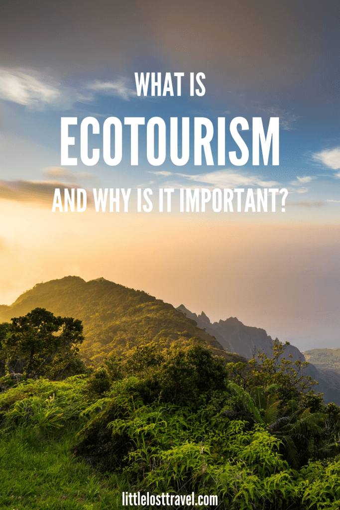 ecotourism is a booming business that many tour