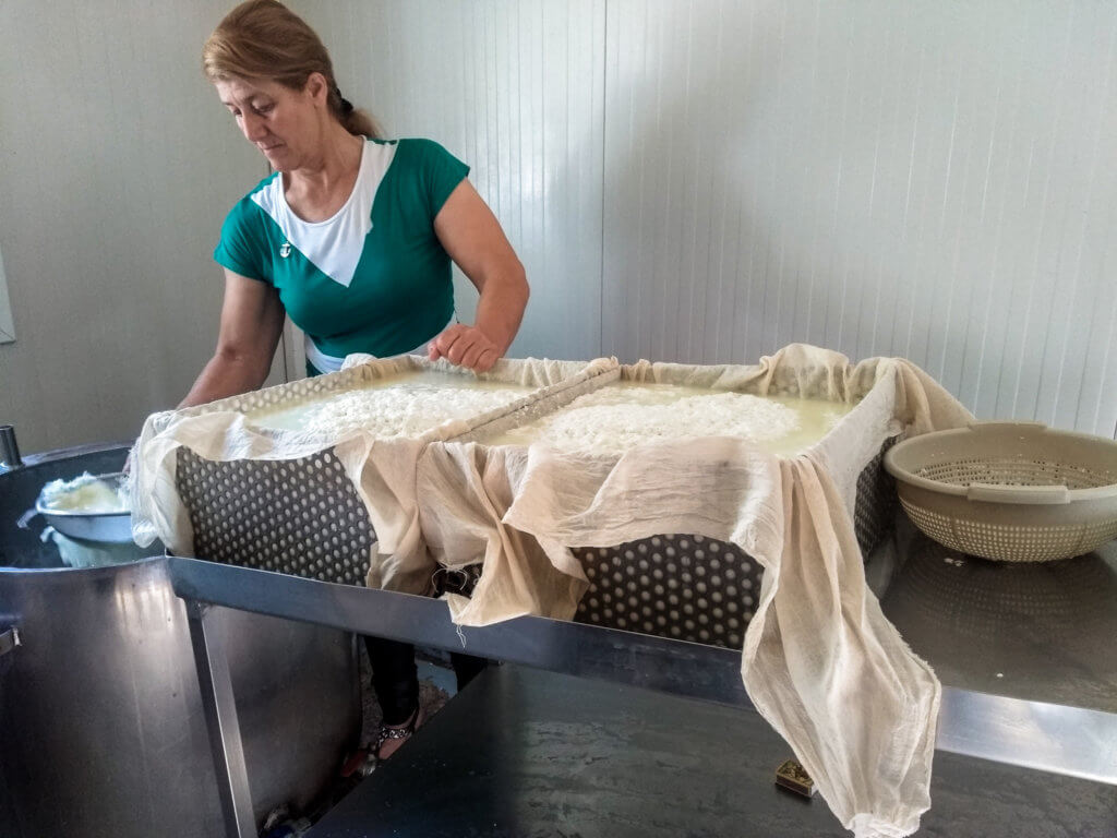 Traditional Cypriot Food and Drink You Need to Try 5 Loulla making halloumi