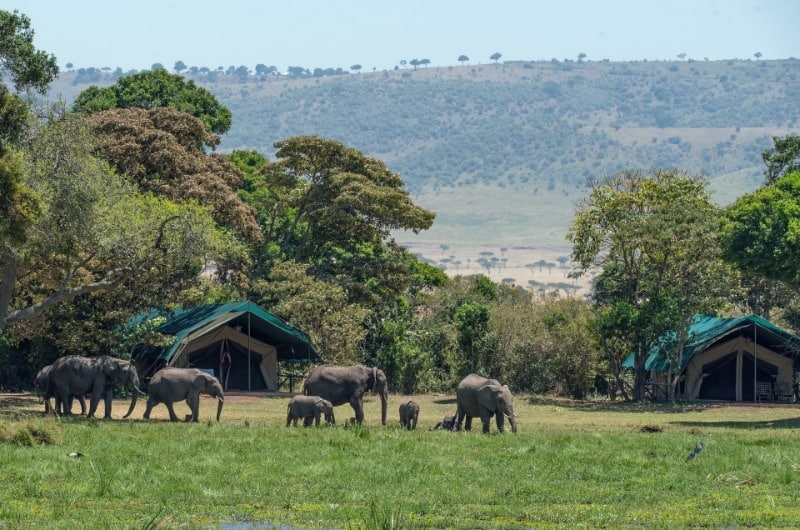 Elephant watch camp in Kenya, one of the top responsible tourism destinations in the world. 