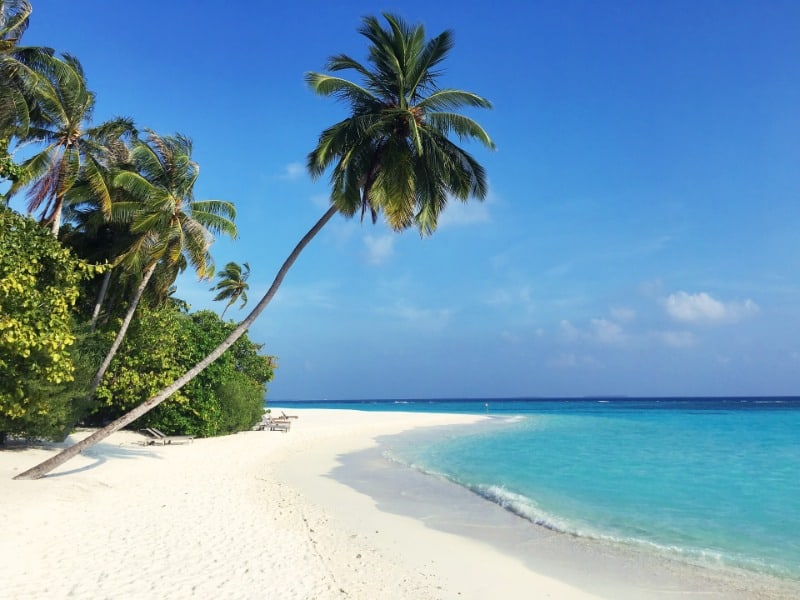 A beach in the Maldives.