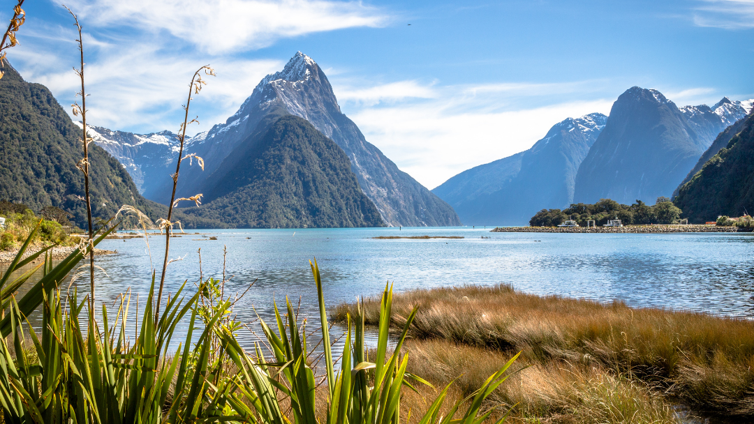 Milford Sound on the South Island