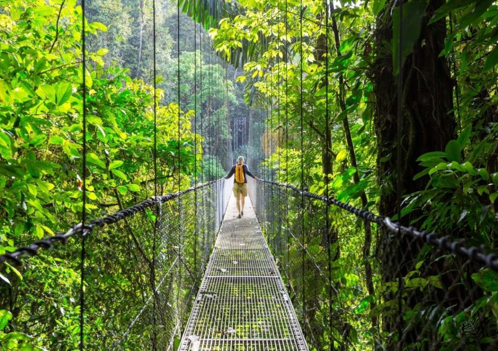 Man walking along a canopy walkway.