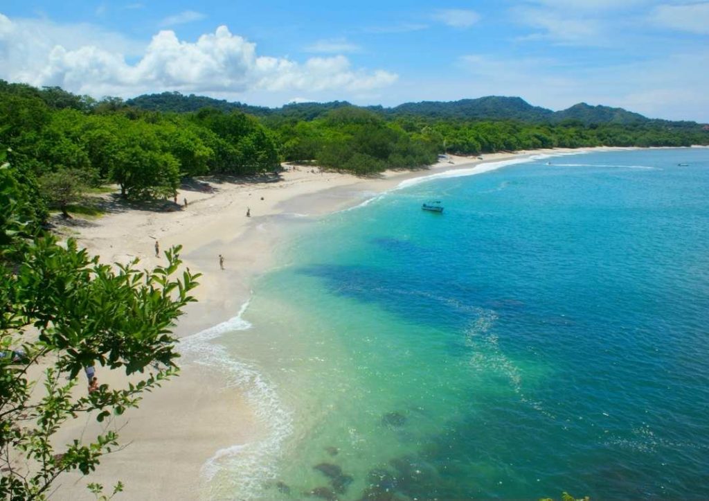 Beach with forest and turquoise sea.