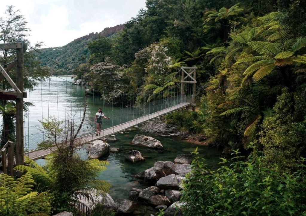 14 Incredible Hikes On the South Island of New Zealand 16 Person standing on a suspension bridge over water with greenery surrounding them at Abel Tasman.