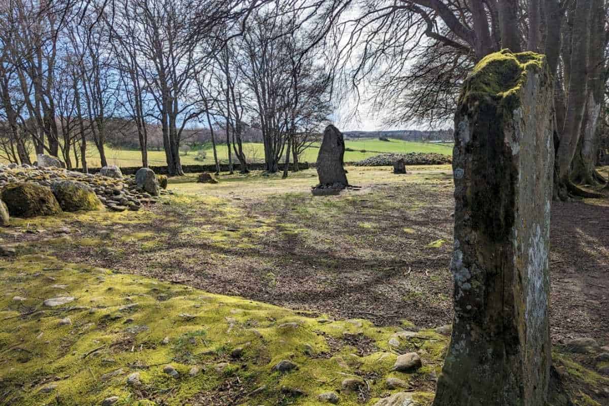 Best 10-day Scottish Highlands itinerary (No Car Needed!) 8 Ancient standing stones and mossy ground are nestled among bare trees in a quiet glade, part of the Clava Cairns prehistoric site.