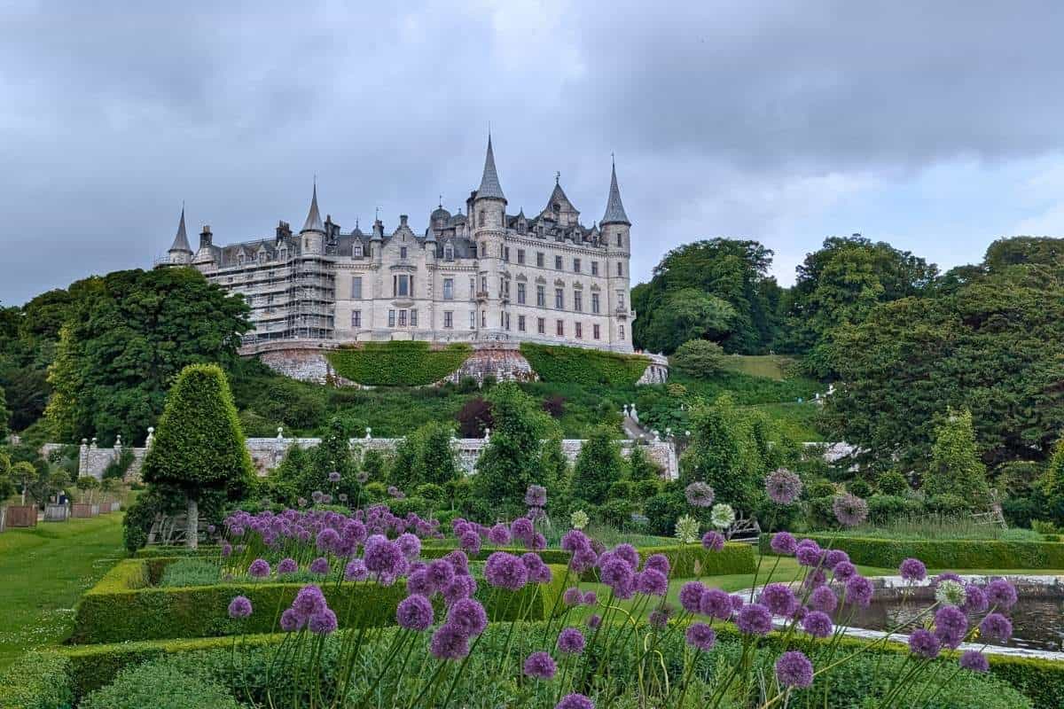 Best 10-day Scottish Highlands itinerary (No Car Needed!) 12 A fairytale-like castle with multiple towers and spires sits atop a hill surrounded by manicured gardens and blooming purple flowers. This is Dunrobin Castle, a frequent highlight on Highland road trips.
