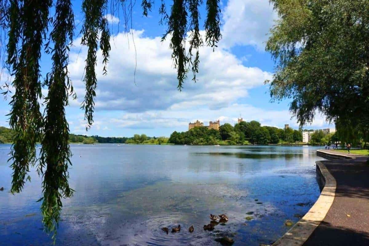 Tops of Linlithgow Castle surrounded by trees. View from across the loch. 