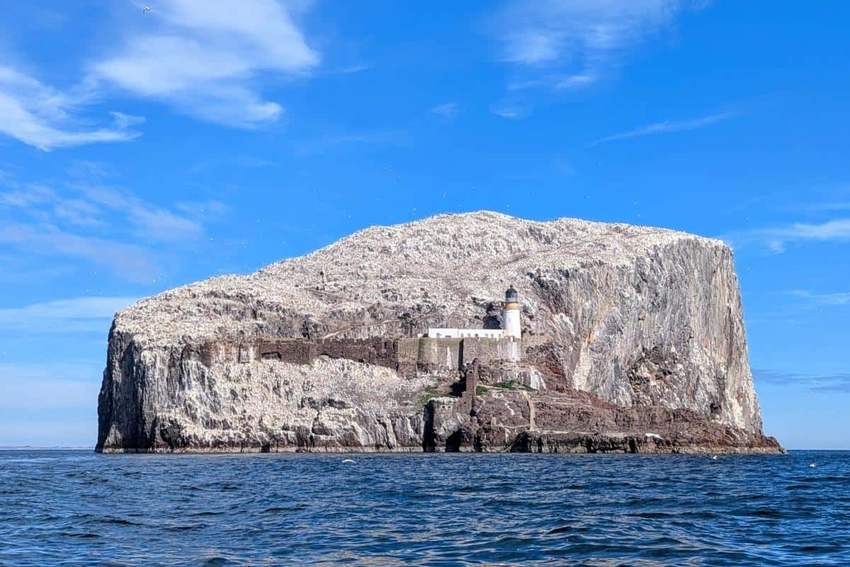 The brownish white shape of Bass Rock surrounded by the blue sea. A lighthouse sits on it and there are white birds around it. North Berwick is one of the best day trips from Edinburgh by train or bus. 