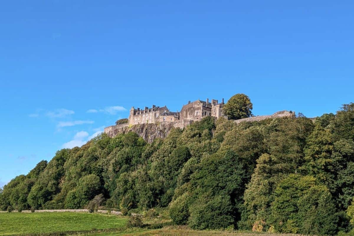 A rocky crag showing above the tree line with a castle on top of it and bright blue almost cloudless sky behind. Stirling Castle. 