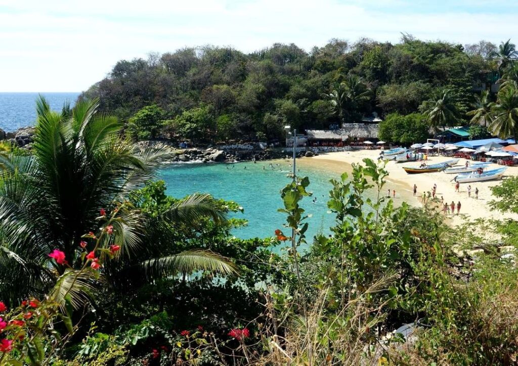 A beach in Mexico with boats on it, surrounded by lush greenery. Calculating the carbon footprint of flying from London to Mexico. 
