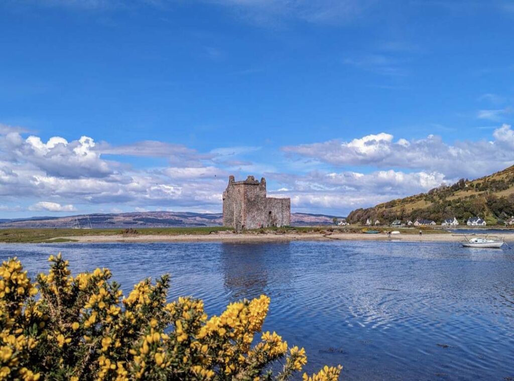 The ruins of an old fortress castle sits on a stretch of ground across a bay with a yellow gore bush in bloom in the foreground. Lochranza on the Isle of Arran is one of the best day trips from Glasgow by public transport. 