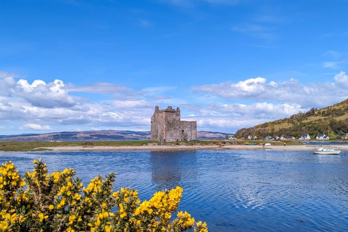 View across a loch at a sandbank with a small fortress. Yellow gorse is in the foreground. Lochranza on the Isle of Arran. 