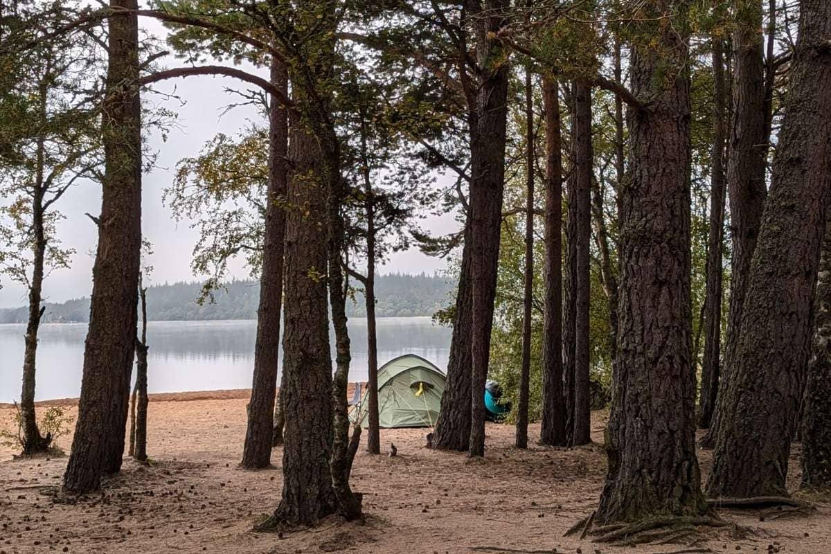 A small olive green tent is pitched on sand by a a grey loch, surrounded by tall evergreen tree trunks. Wild camping in Scotland. 