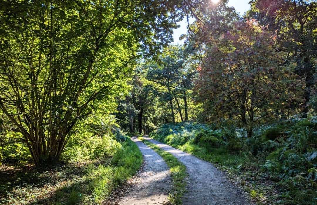 25 BEST Things To Do In Pitlochry, Scotland