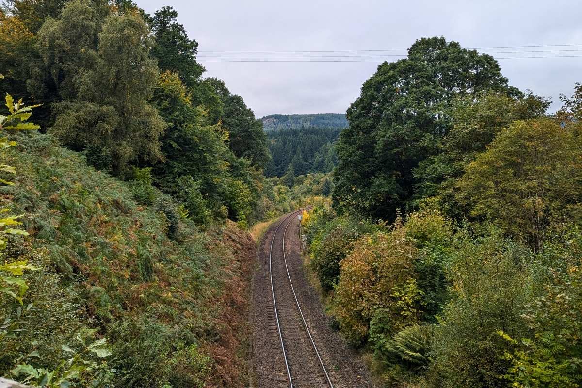 7 Most Scenic Train Journeys in Scotland with Epic Views 6 View from above looking down onto a train track surrounded by trees. Highland Perthshire.