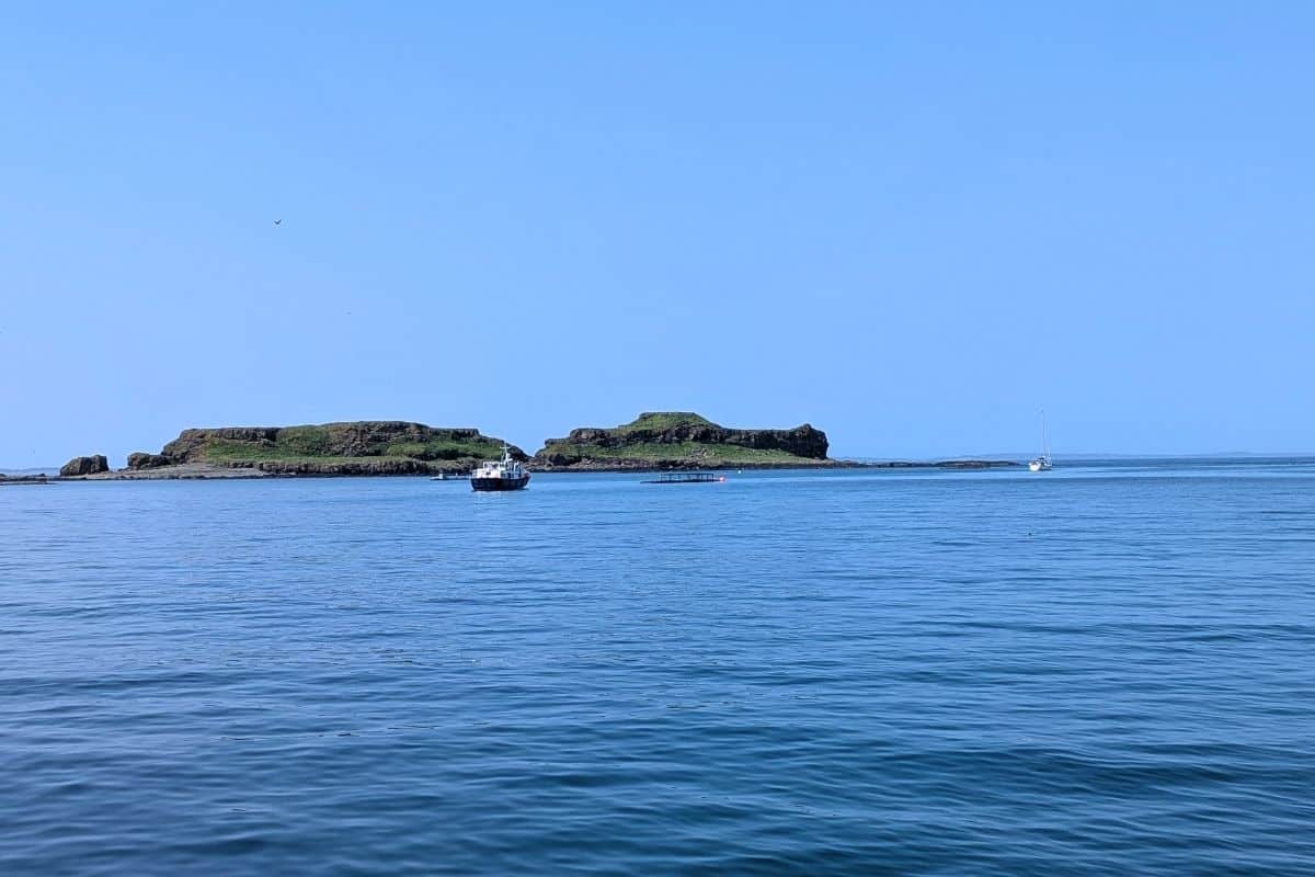 A small boat in the distance in front of some green islets. The water is blue as is the sky. 