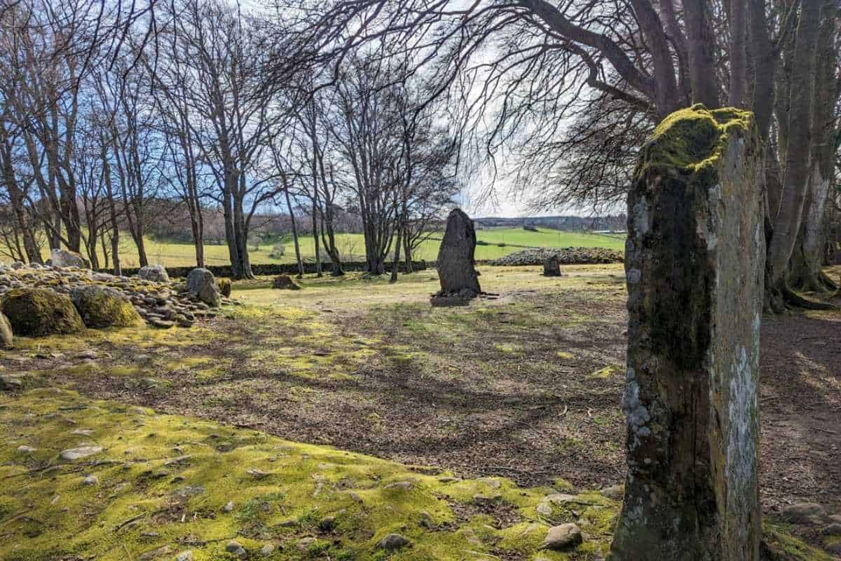 10 Easy Day Trips from Inverness Without a Car 3 Sunlight dappled clearing surrounded by trees. Mossy standing stones and cairns. The Clava Cairns near Inverness.