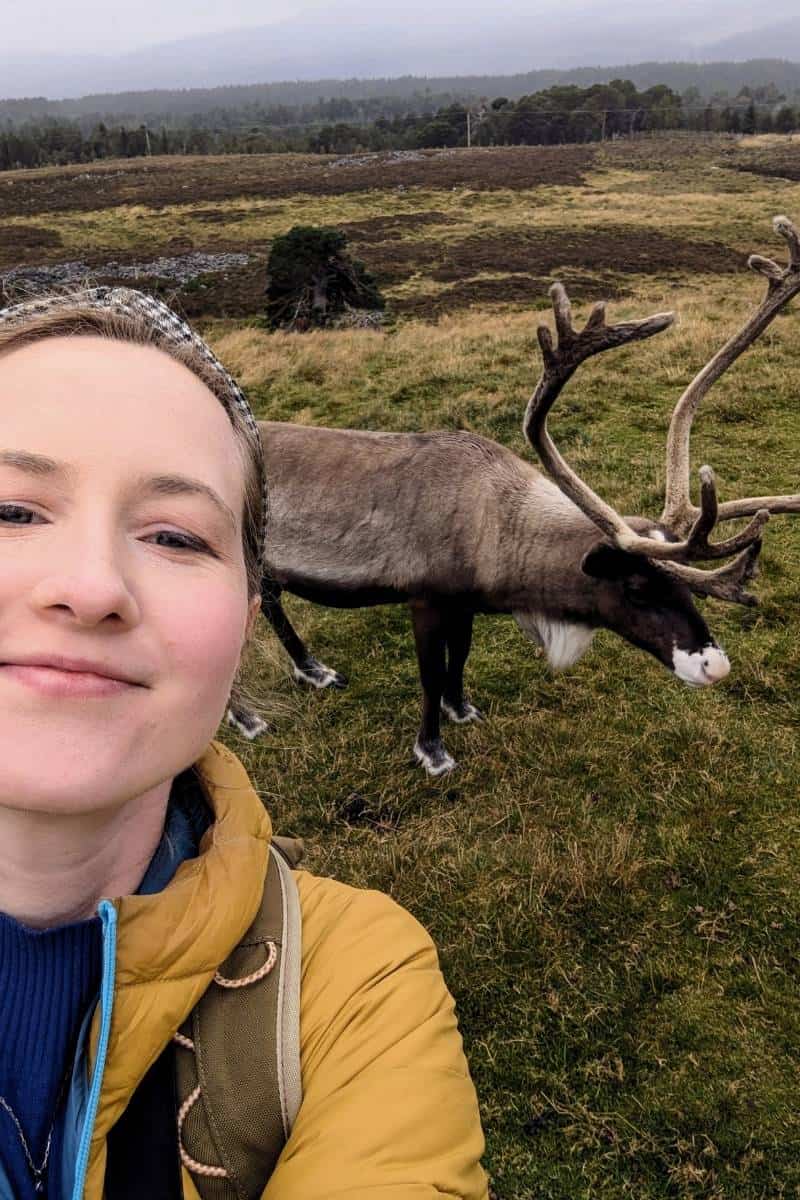 I Did a Cairngorm Reindeer Hill Trip: Here's What It's Like 3 A woman wearing a yellow jacket and gingham headband smiles at the camera and is taking aselfie with a reindeer with huge antlers behind her.