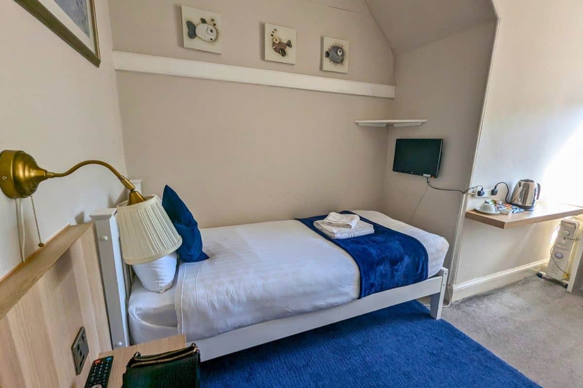 Where to Stay in Scotland Without a Car: Best Areas + Hotels 6 View of a single bed in a clean room with a blue carpet and furnishings. Ardenlee Guesthouse